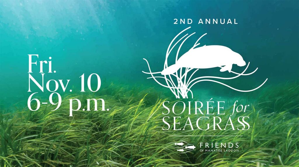 Seagrass Event